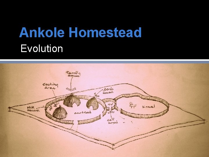 Ankole Homestead Evolution 
