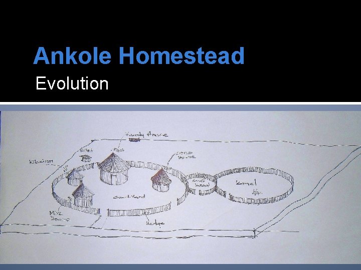 Ankole Homestead Evolution 