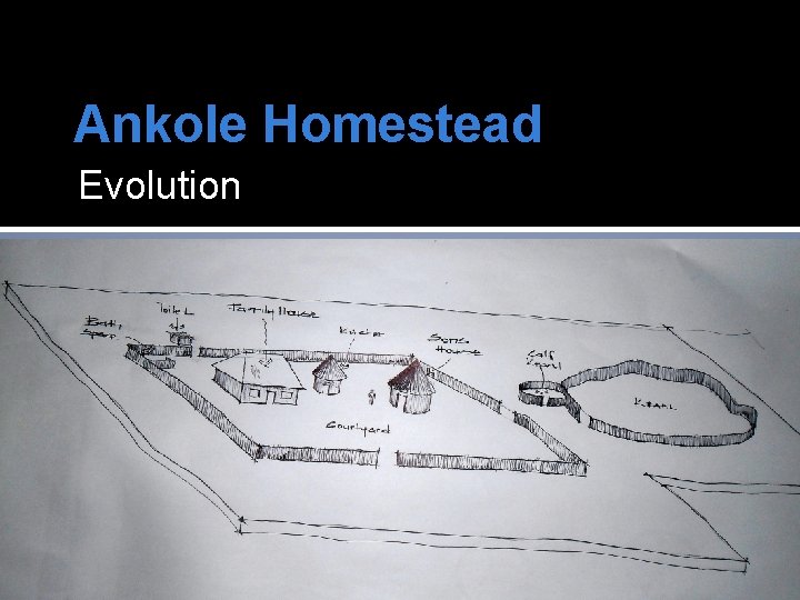 Ankole Homestead Evolution 