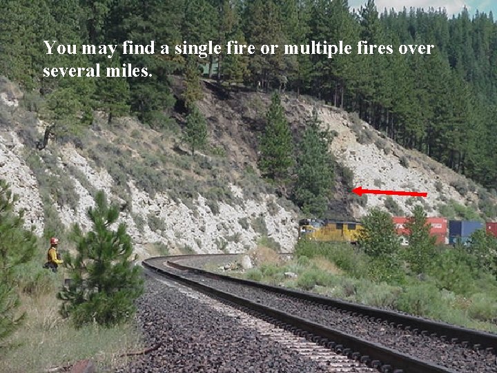 You may find a single fire or multiple fires over several miles. 