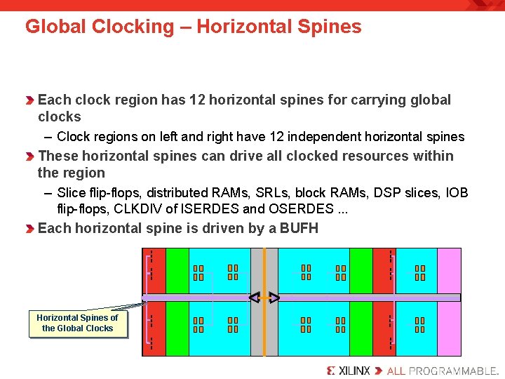 Global Clocking – Horizontal Spines Each clock region has 12 horizontal spines for carrying