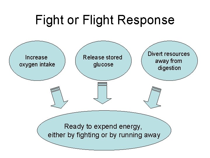 Fight or Flight Response Increase oxygen intake Release stored glucose Divert resources away from