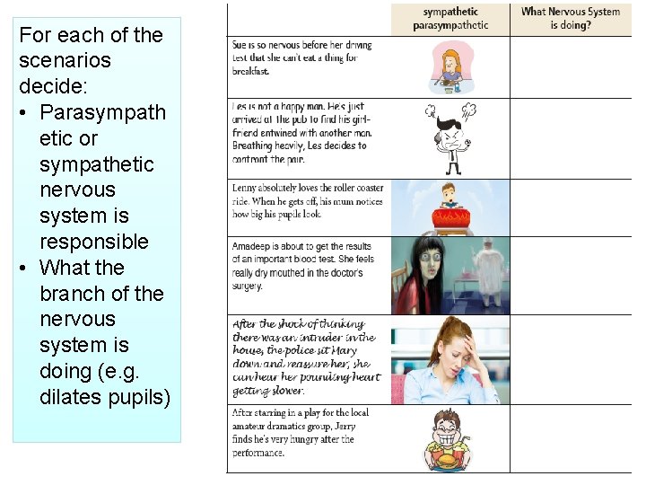 For each of the scenarios decide: • Parasympath etic or sympathetic nervous system is
