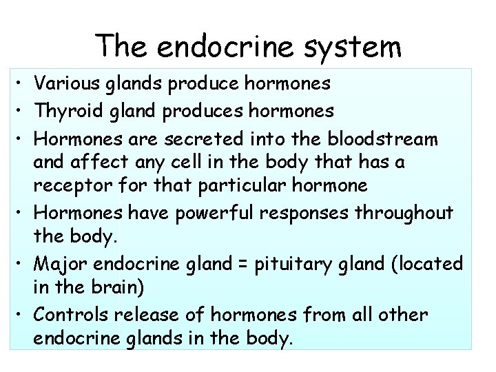 The endocrine system • Various glands produce hormones • Thyroid gland produces hormones •