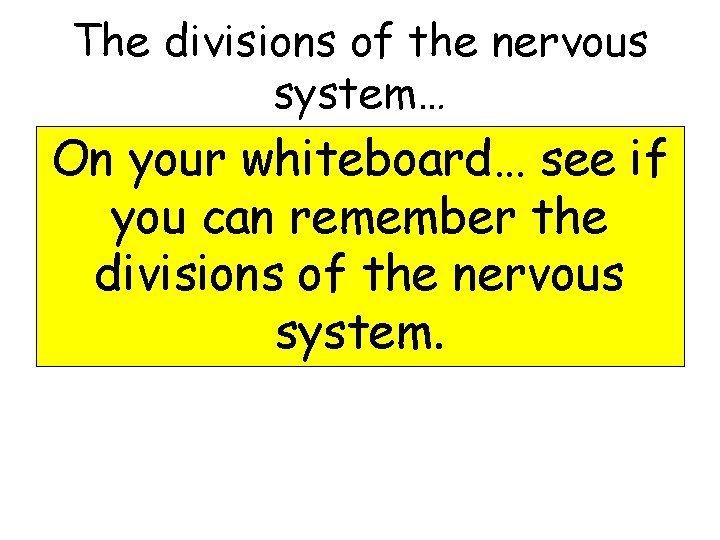 The divisions of the nervous system… On your whiteboard… see if you can remember