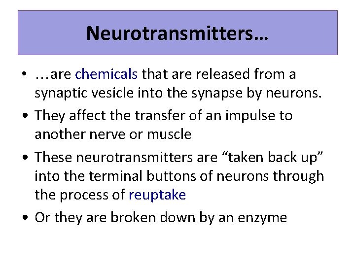 Neurotransmitters… • …are chemicals that are released from a synaptic vesicle into the synapse