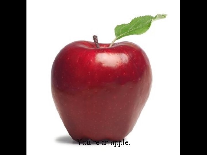 You’re an apple. 