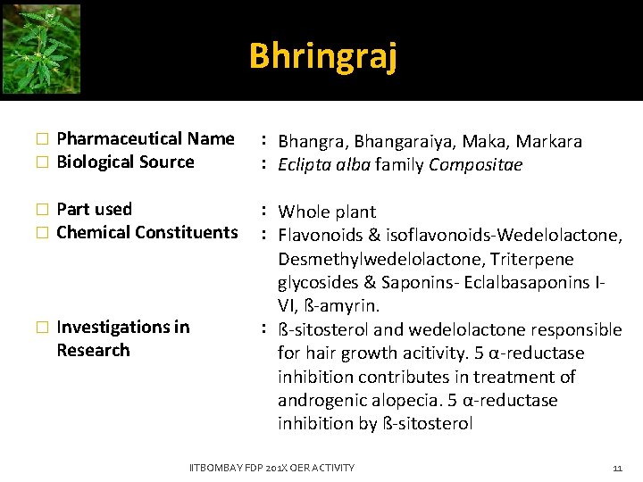 Bhringraj � � Pharmaceutical Name Biological Source : Bhangra, Bhangaraiya, Maka, Markara : Eclipta