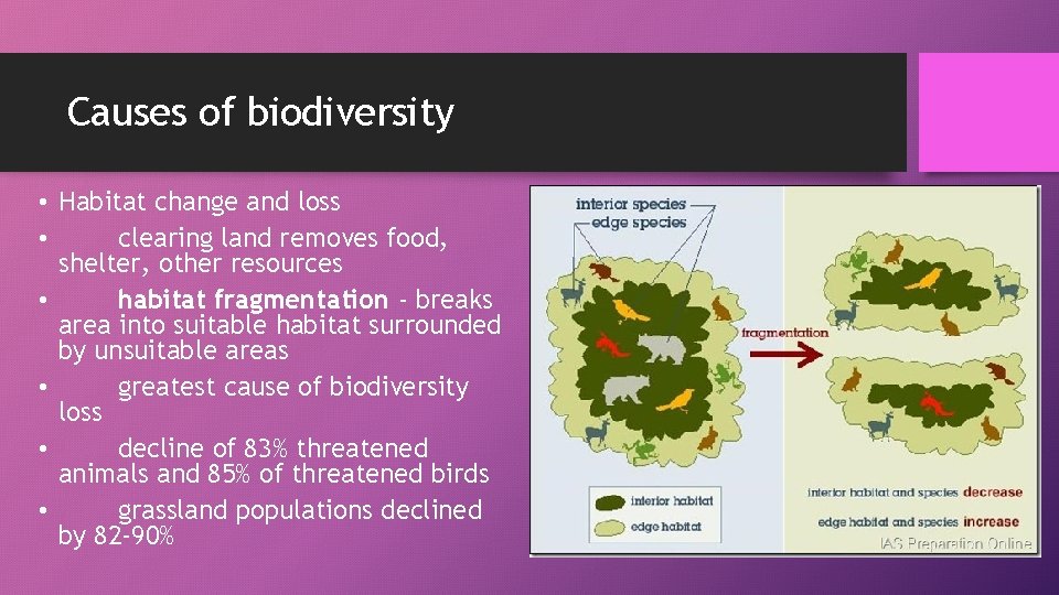 Causes of biodiversity • Habitat change and loss • clearing land removes food, shelter,