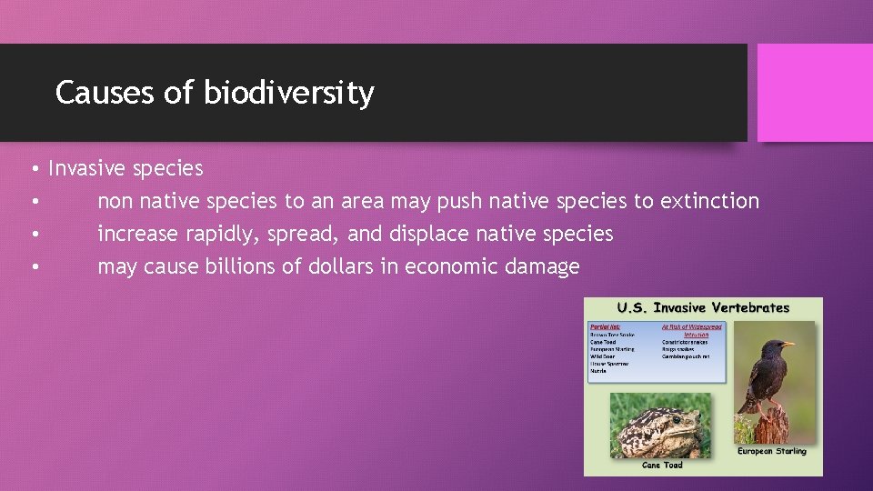Causes of biodiversity • Invasive species • non native species to an area may