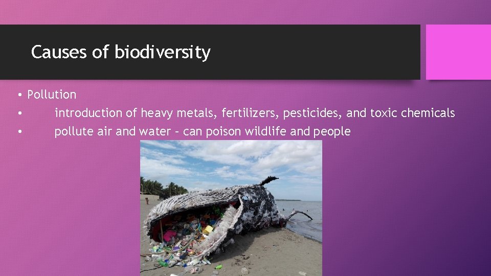 Causes of biodiversity • Pollution • introduction of heavy metals, fertilizers, pesticides, and toxic