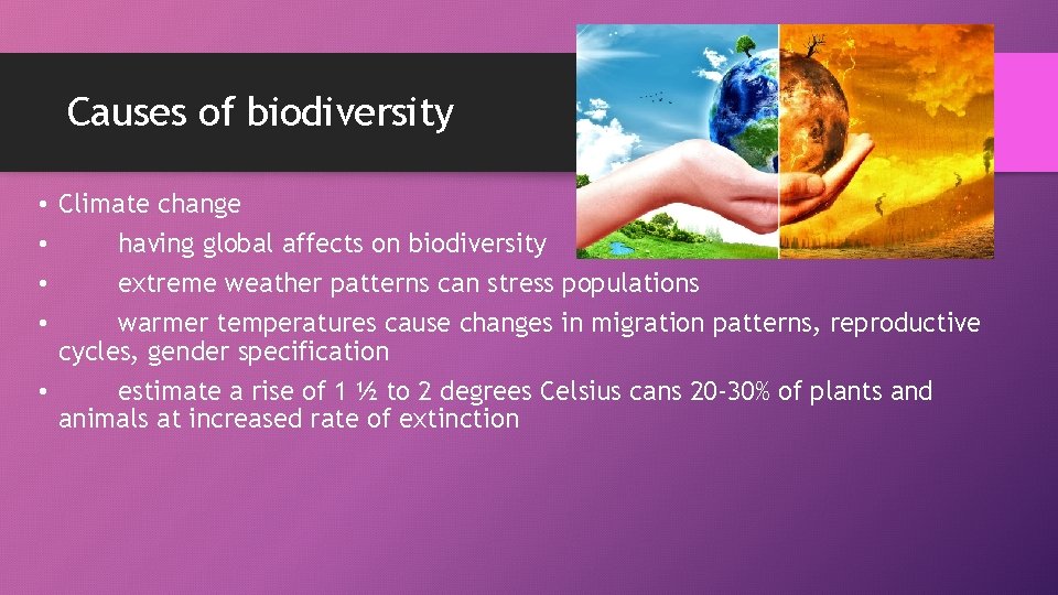 Causes of biodiversity • Climate change • having global affects on biodiversity • extreme