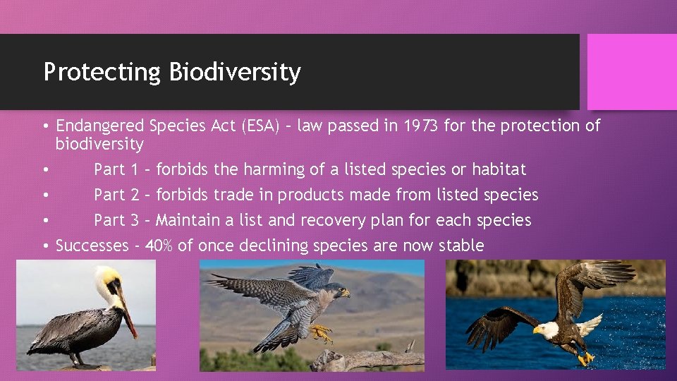 Protecting Biodiversity • Endangered Species Act (ESA) – law passed in 1973 for the