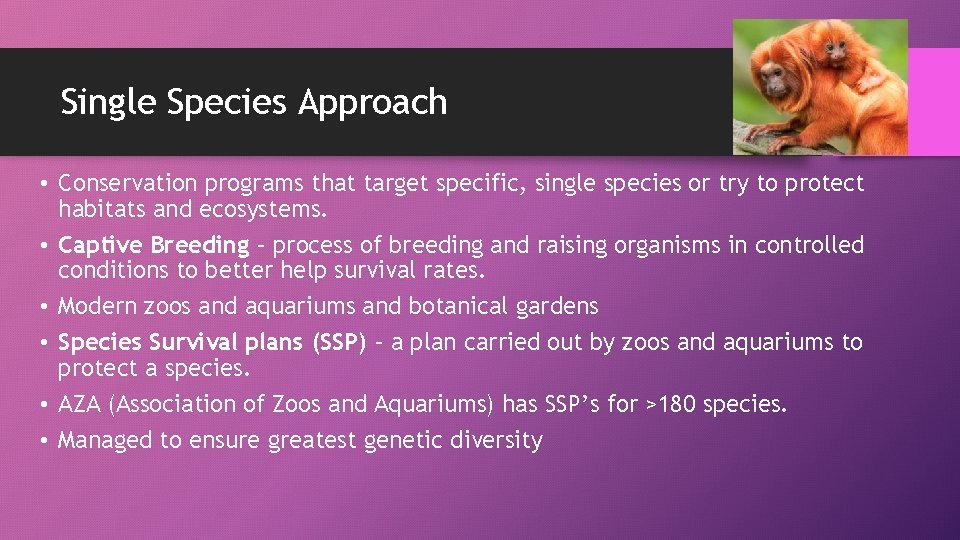 Single Species Approach • Conservation programs that target specific, single species or try to