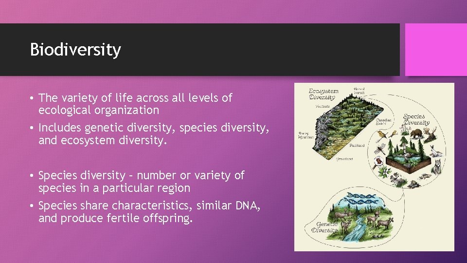 Biodiversity • The variety of life across all levels of ecological organization • Includes