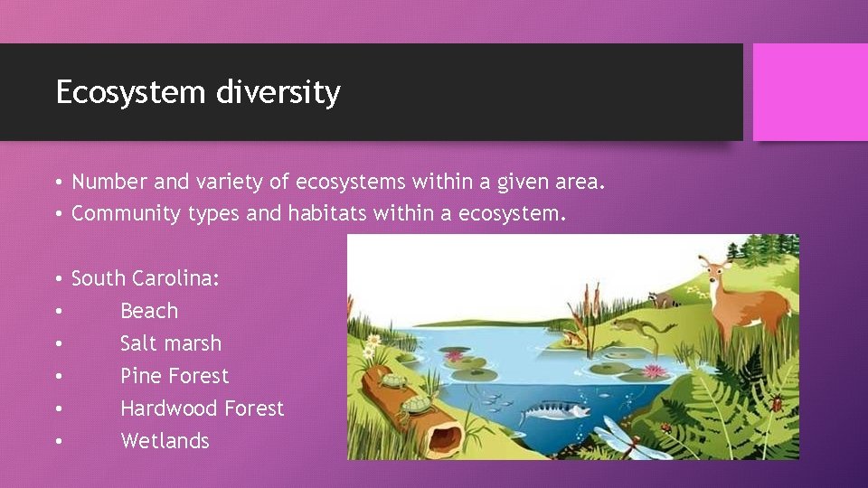 Ecosystem diversity • Number and variety of ecosystems within a given area. • Community