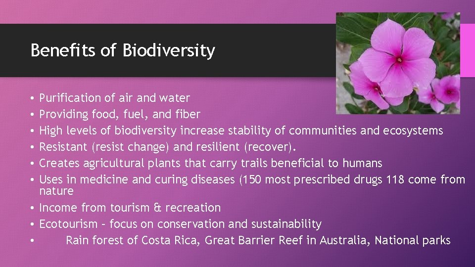 Benefits of Biodiversity Purification of air and water Providing food, fuel, and fiber High