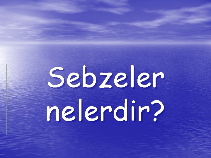 Sebzeler nelerdir? 