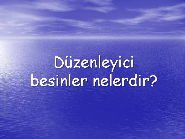 Düzenleyici besinler nelerdir? 