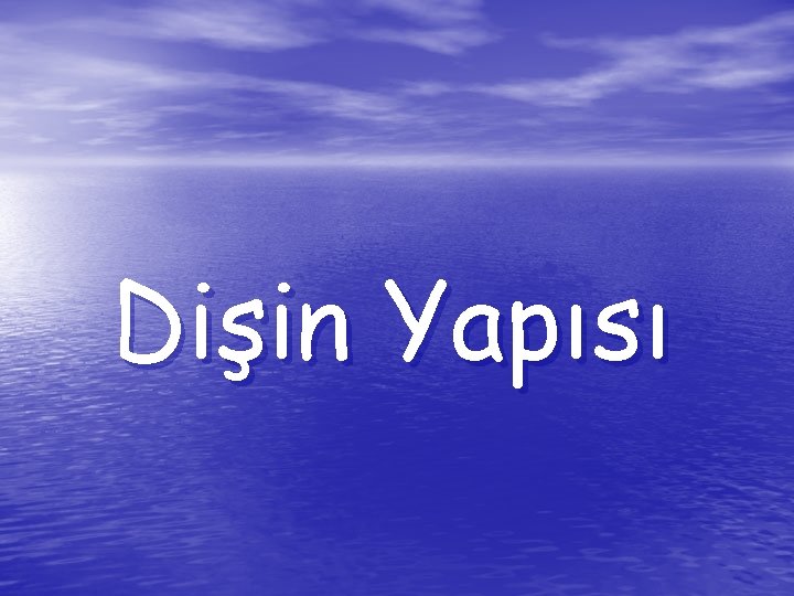 Dişin Yapısı 