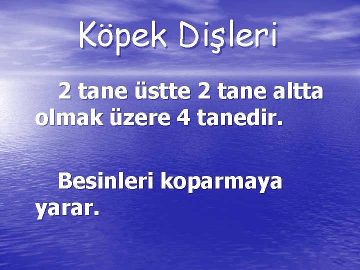 Köpek Dişleri 2 tane üstte 2 tane altta olmak üzere 4 tanedir. Besinleri koparmaya