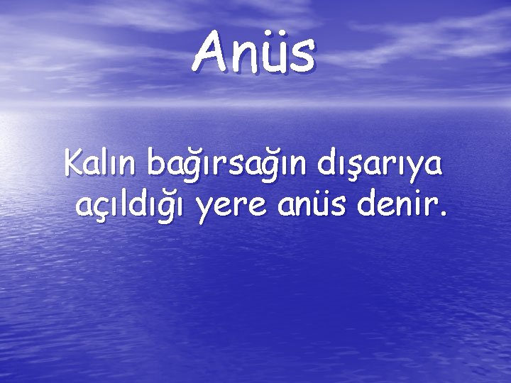 Anüs Kalın bağırsağın dışarıya açıldığı yere anüs denir. 