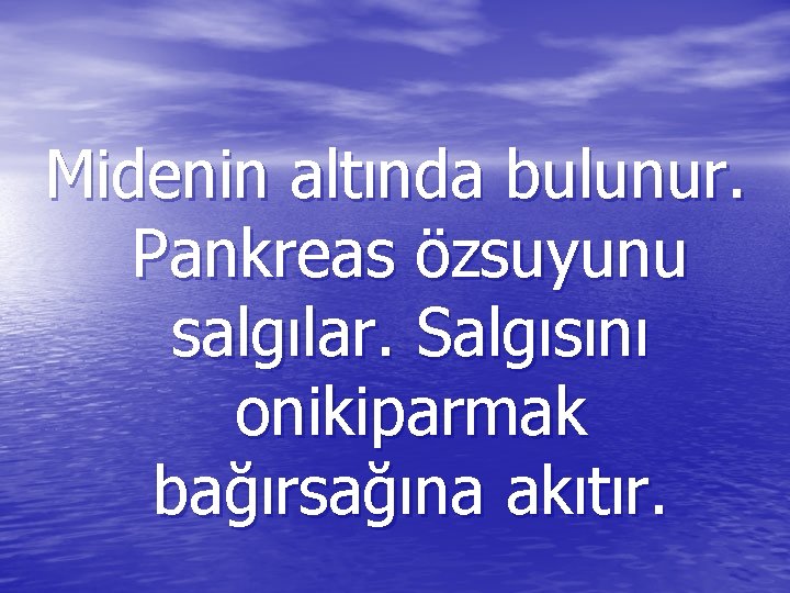 Midenin altında bulunur. Pankreas özsuyunu salgılar. Salgısını onikiparmak bağırsağına akıtır. 