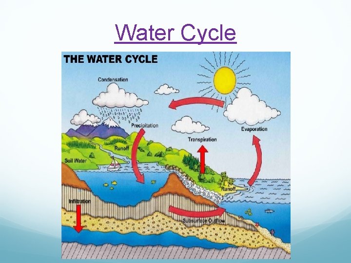 Water Cycle 