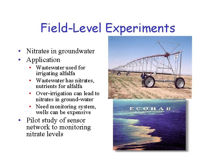 Field-Level Experiments • Nitrates in groundwater • Application • Wastewater used for irrigating alfalfa