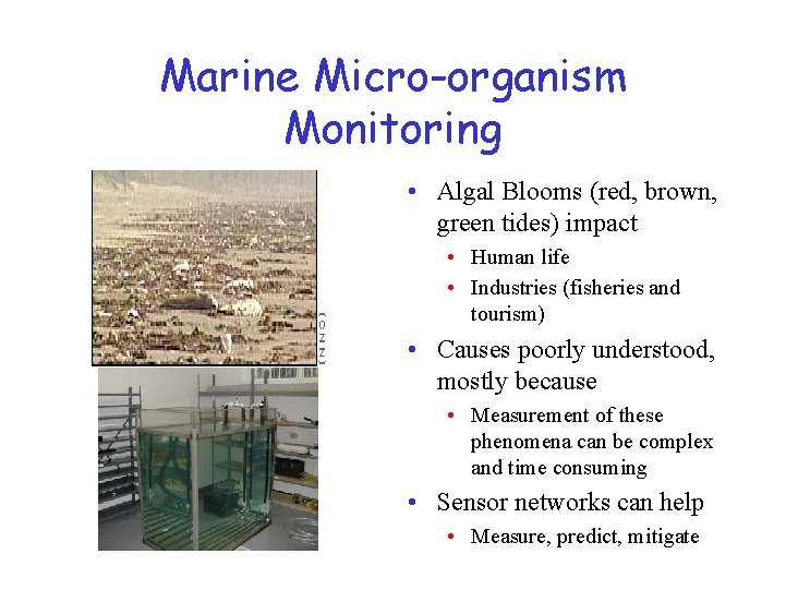 Marine Micro-organism Monitoring • Algal Blooms (red, brown, green tides) impact • Human life