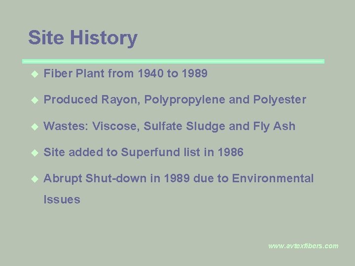 Site History u Fiber Plant from 1940 to 1989 u Produced Rayon, Polypropylene and