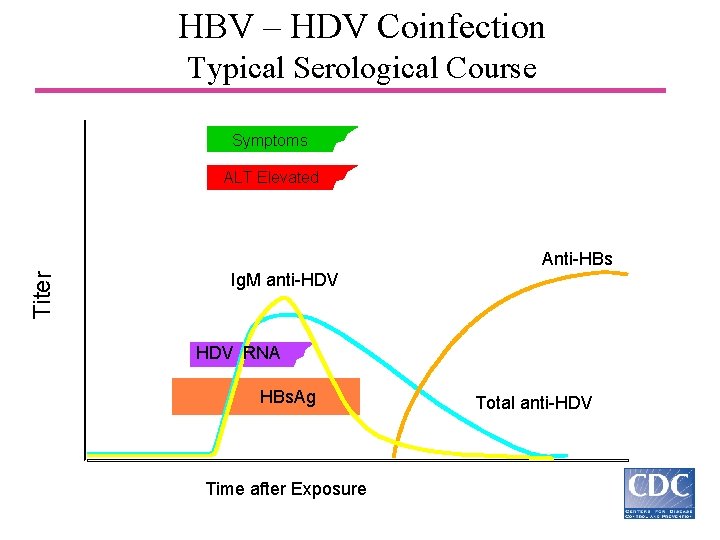 HBV – HDV Coinfection Typical Serological Course Symptoms ALT Elevated Titer Anti-HBs Ig. M