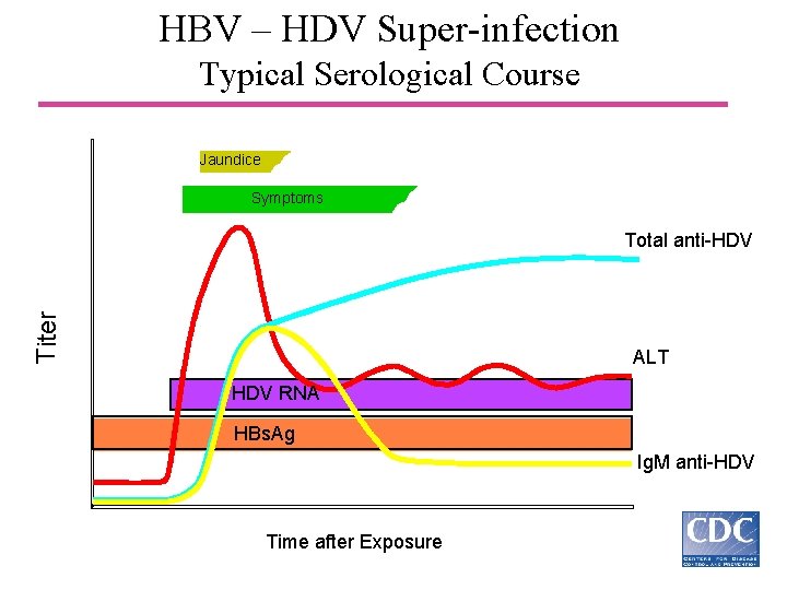 HBV – HDV Super-infection Typical Serological Course Jaundice Symptoms Titer Total anti-HDV ALT HDV