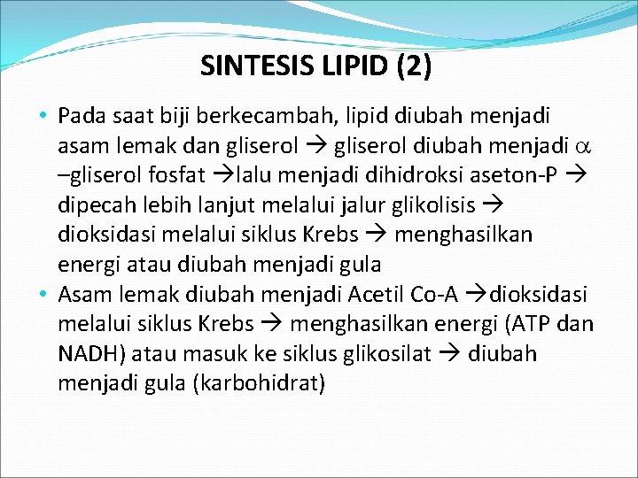 SINTESIS LIPID (2) • Pada saat biji berkecambah, lipid diubah menjadi asam lemak dan