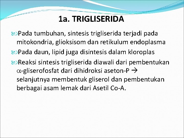 1 a. TRIGLISERIDA Pada tumbuhan, sintesis trigliserida terjadi pada mitokondria, glioksisom dan retikulum endoplasma