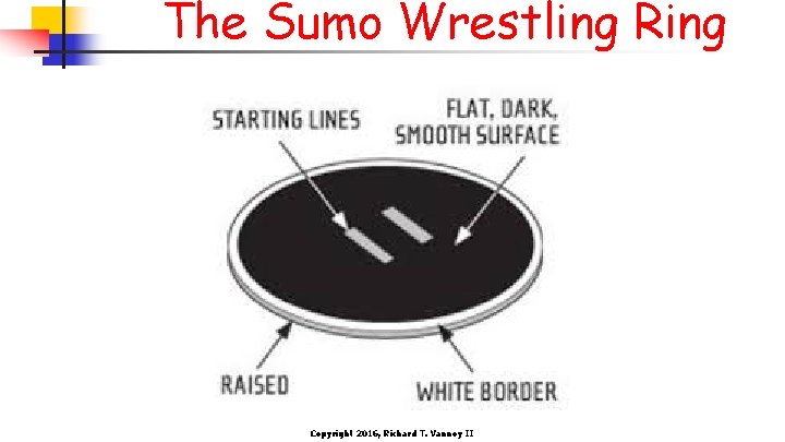 The Sumo Wrestling Ring Copyright 2016, Richard T. Vannoy II 