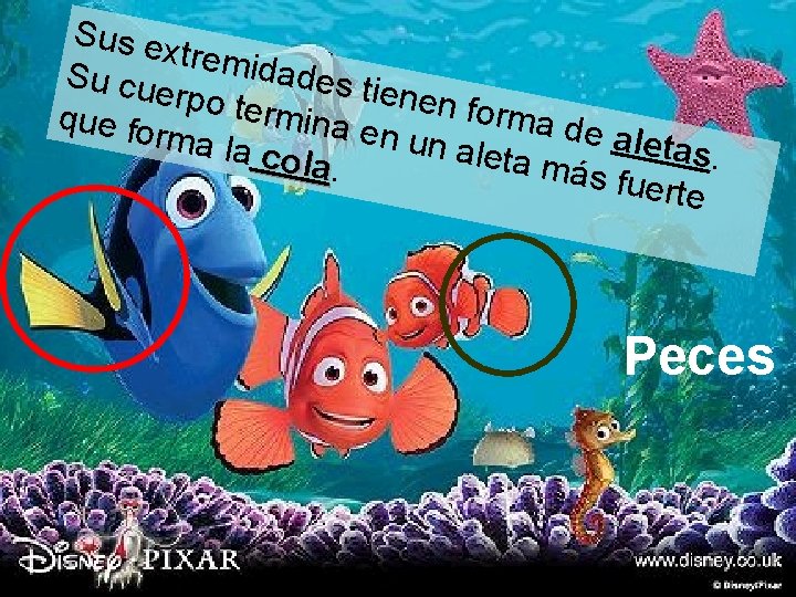 Sus ex tremid ades t Su cue ienen rpo ter forma mina e que