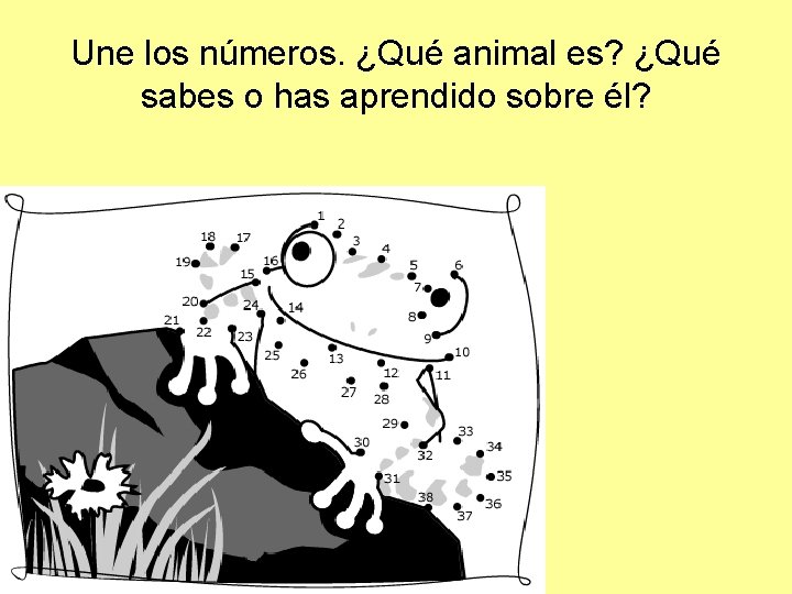 Une los números. ¿Qué animal es? ¿Qué sabes o has aprendido sobre él? 