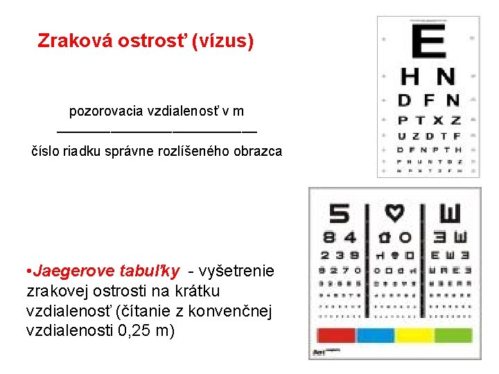 Zraková ostrosť (vízus) pozorovacia vzdialenosť v m ––––––––––––– číslo riadku správne rozlíšeného obrazca •