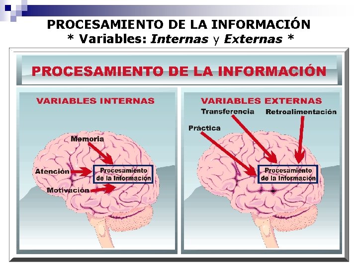 PROCESAMIENTO DE LA INFORMACIÓN * Variables: Internas y Externas * 