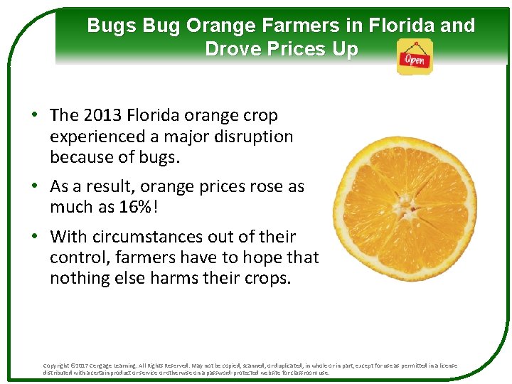 Bugs Bug Orange Farmers in Florida and Drove Prices Up • The 2013 Florida