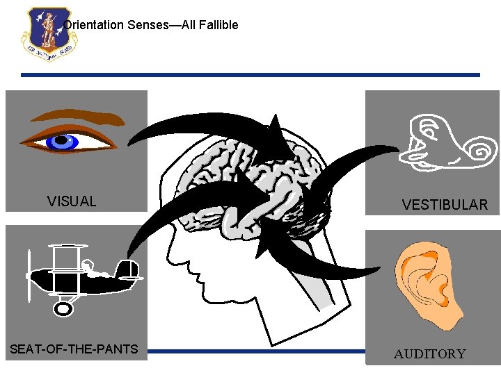 Orientation Senses—All Fallible VISUAL SEAT-OF-THE-PANTS VESTIBULAR AUDITORY 