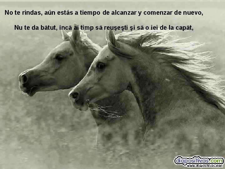 No te rindas, aún estás a tiempo de alcanzar y comenzar de nuevo, Nu