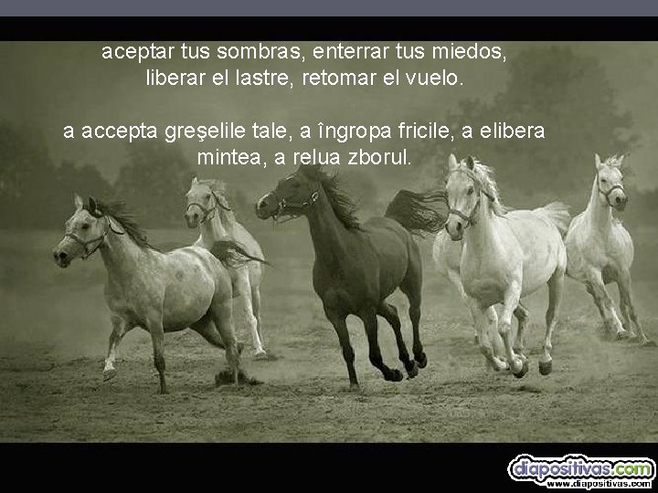 aceptar tus sombras, enterrar tus miedos, liberar el lastre, retomar el vuelo. a accepta