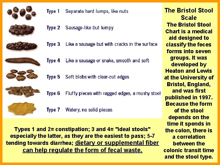 The Bristol Stool Scale The Bristol Stool Chart is a medical aid designed to