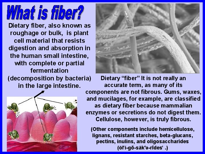 Dietary fiber, also known as roughage or bulk, is plant cell material that resists