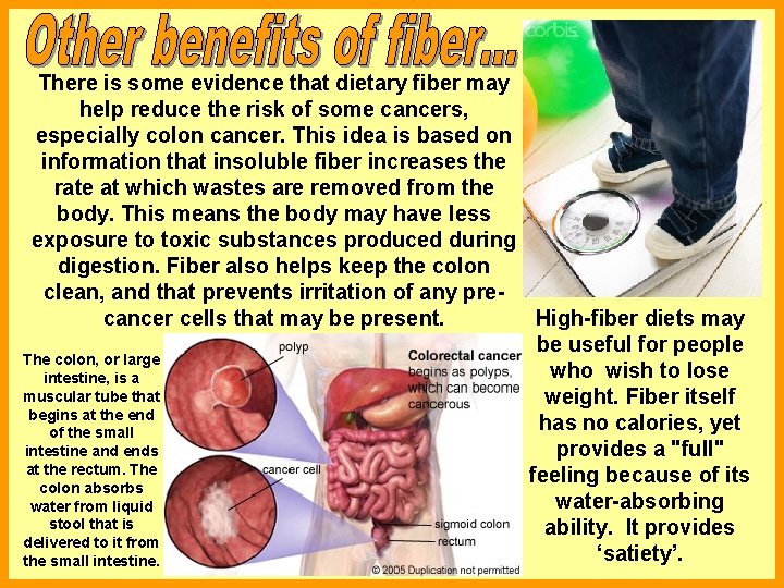 There is some evidence that dietary fiber may help reduce the risk of some