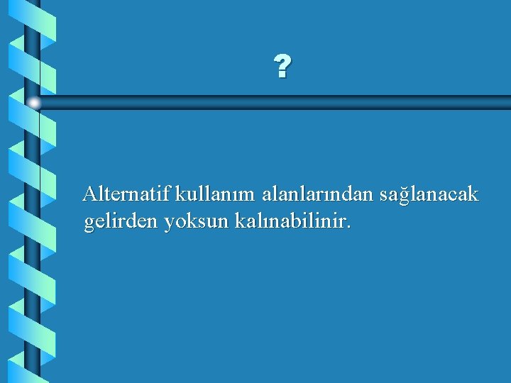 ? Alternatif kullanım alanlarından sağlanacak gelirden yoksun kalınabilinir. 