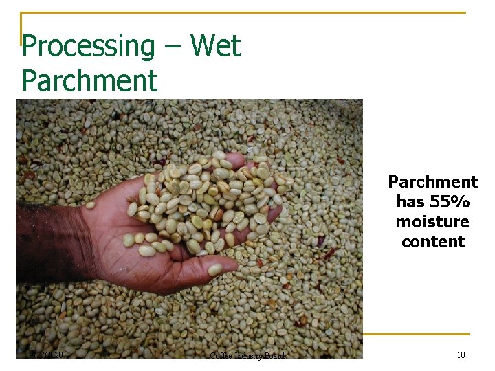 Processing – Wet Parchment has 55% moisture content 9/17/2020 Coffee Industry Board 10 