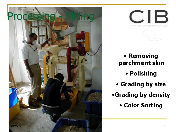 Processing - Milling • Removing parchment skin • Polishing • Grading by size •